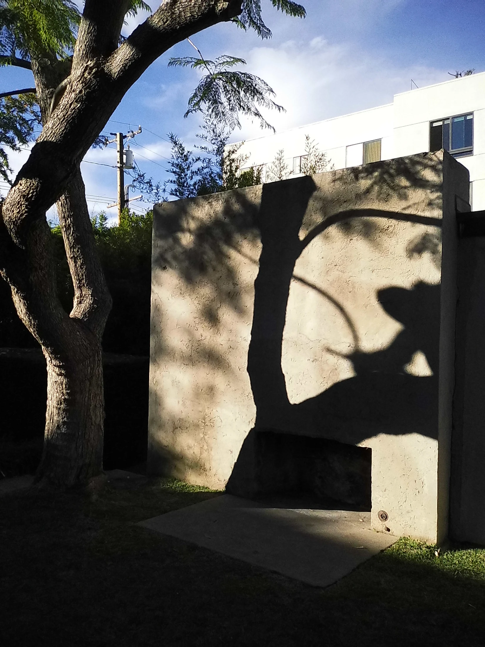 Photograph by Jayden Ingram.
